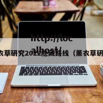 薰衣草研究2022隐藏路线（薰衣草研学）